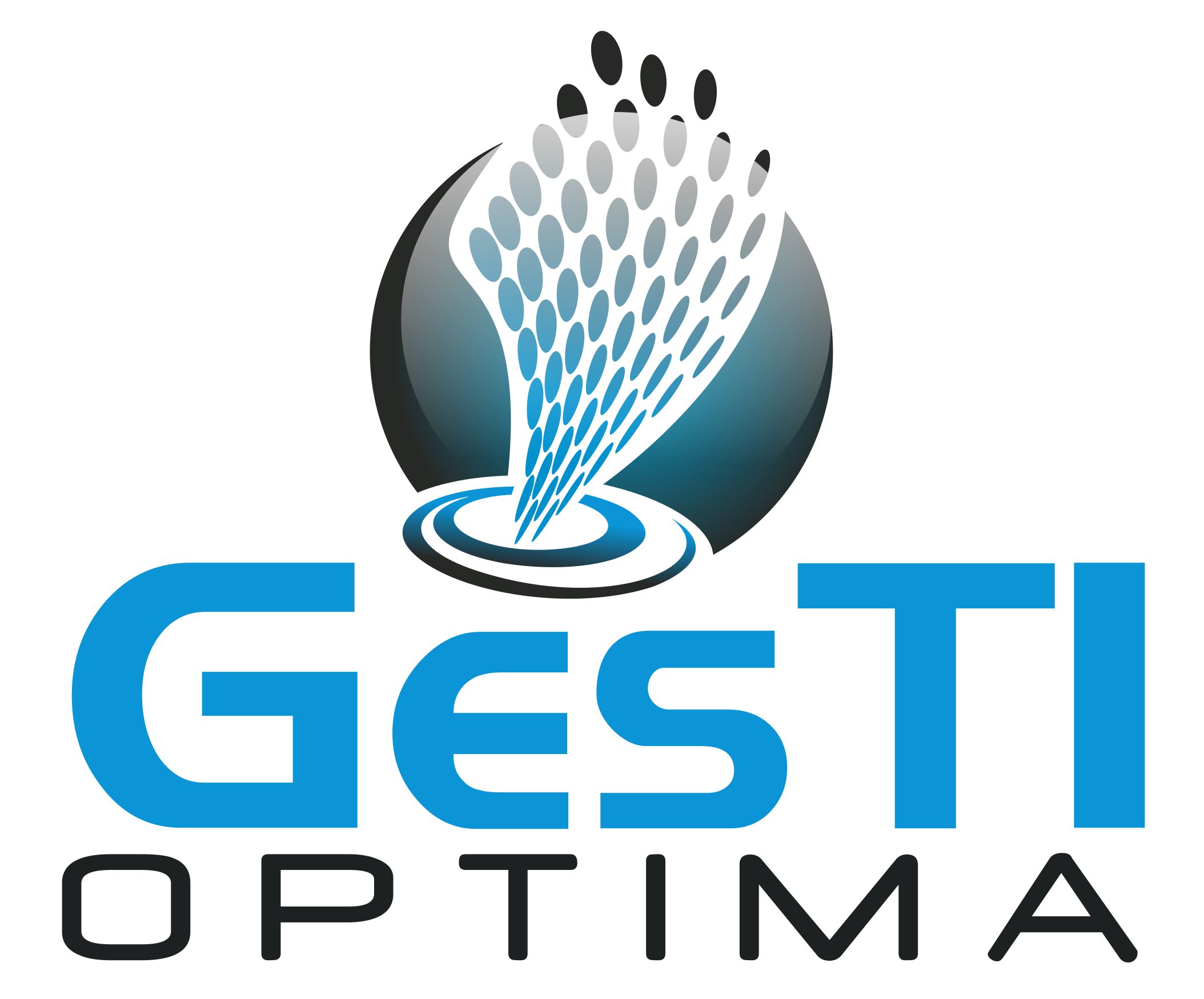 GesTI Optima